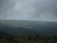 nte Rinatu-20110615 117